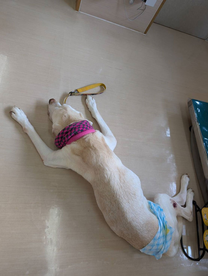 58074_0.jpg 58074_0.jpg