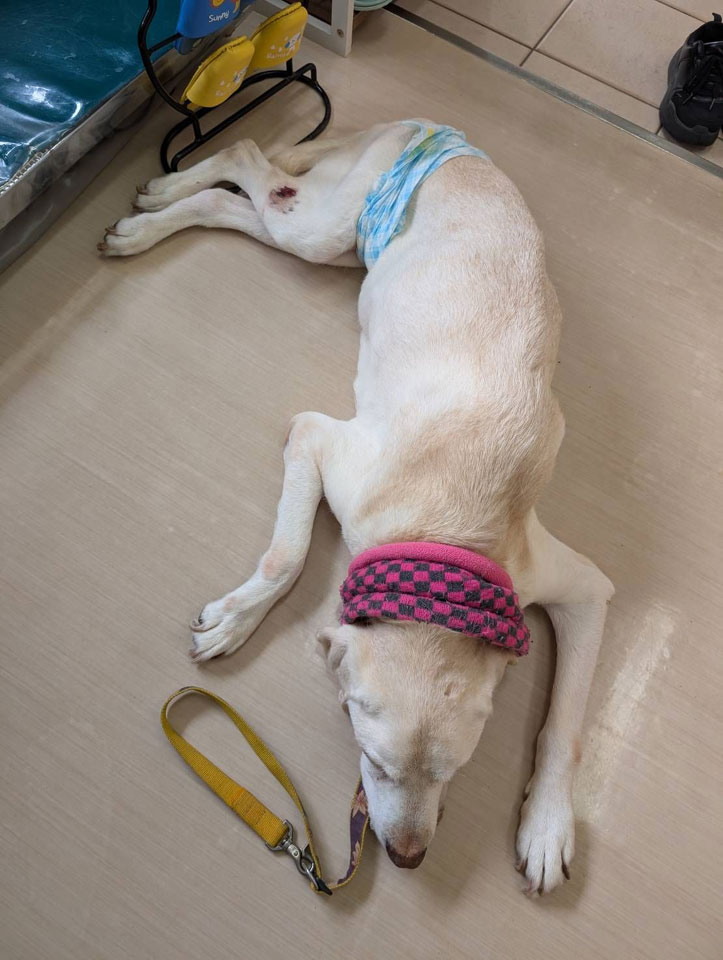 58076_0.jpg 58076_0.jpg