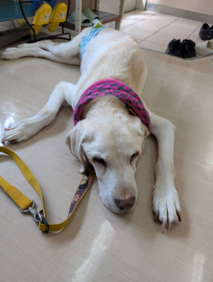 58077_0.jpg 58077_0.jpg