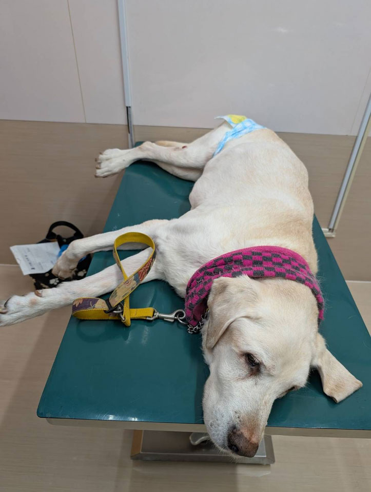 58078_0.jpg 58078_0.jpg