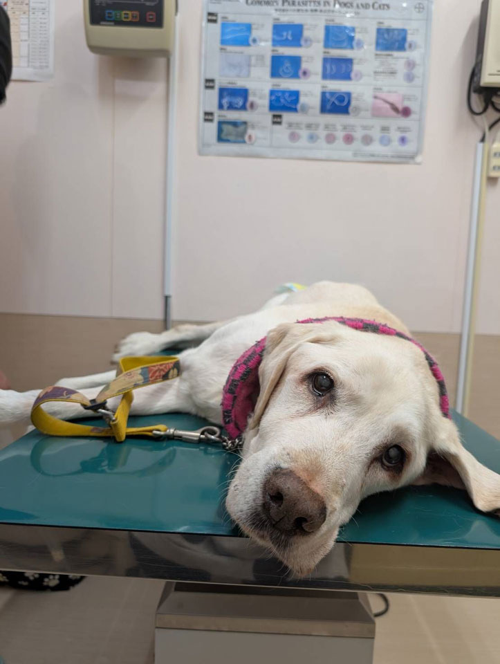 58079_0.jpg 58079_0.jpg