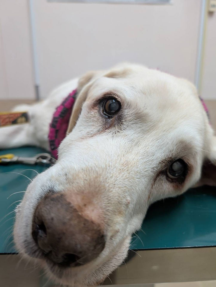 58080_0.jpg 58080_0.jpg