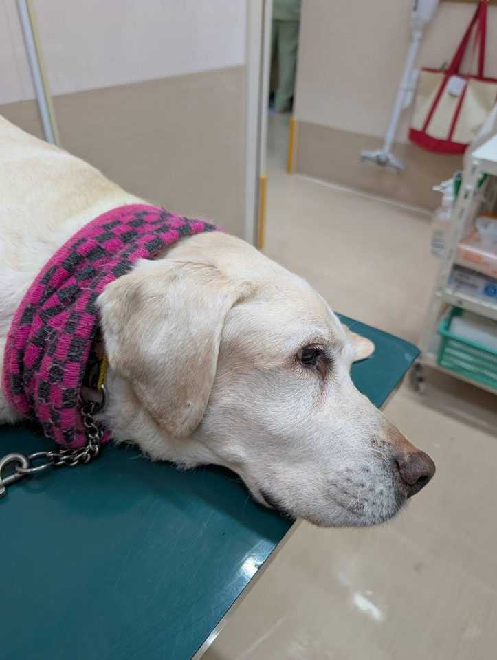 58081_0.jpg 58081_0.jpg