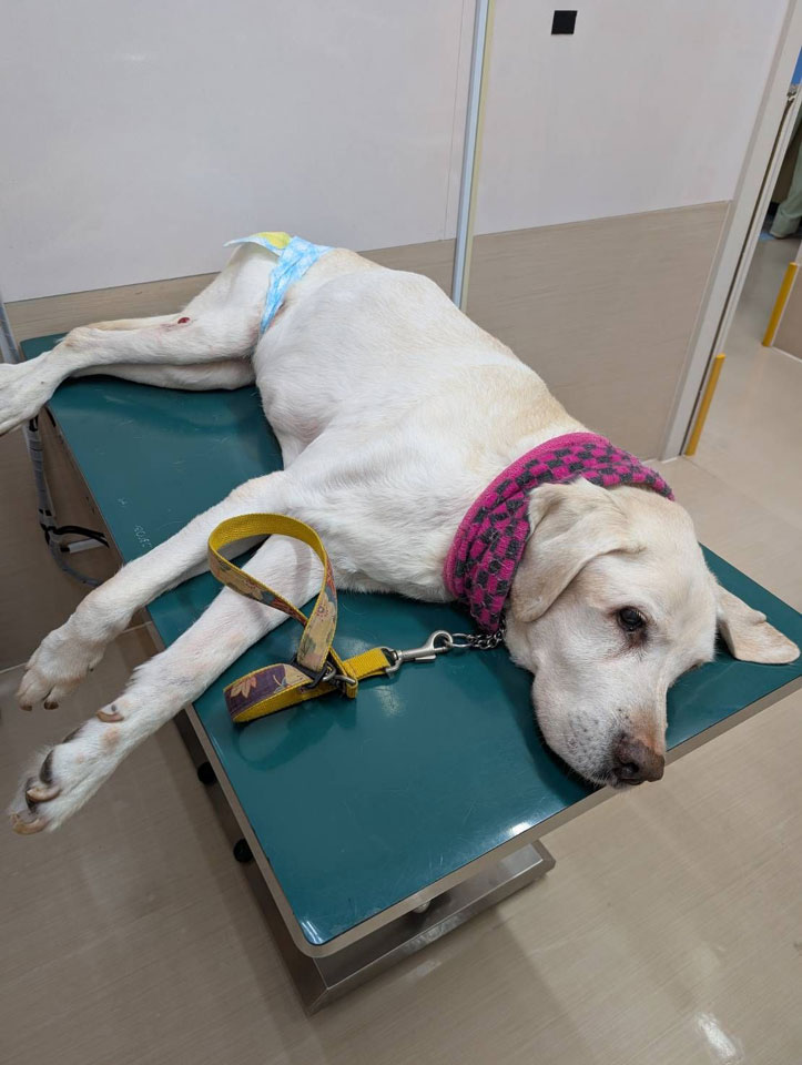 58082_0.jpg 58082_0.jpg