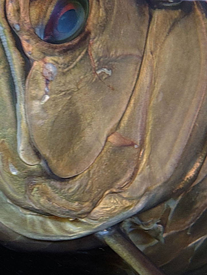 58062_0.jpg 58062_0.jpg