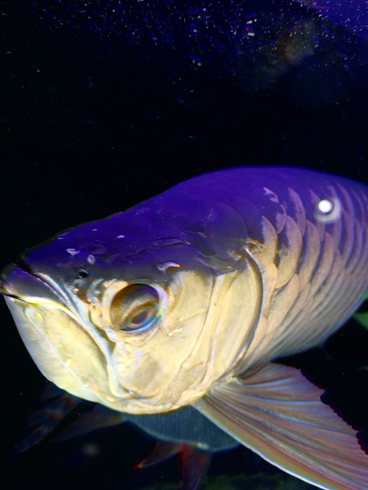 58064_0.jpg 58064_0.jpg